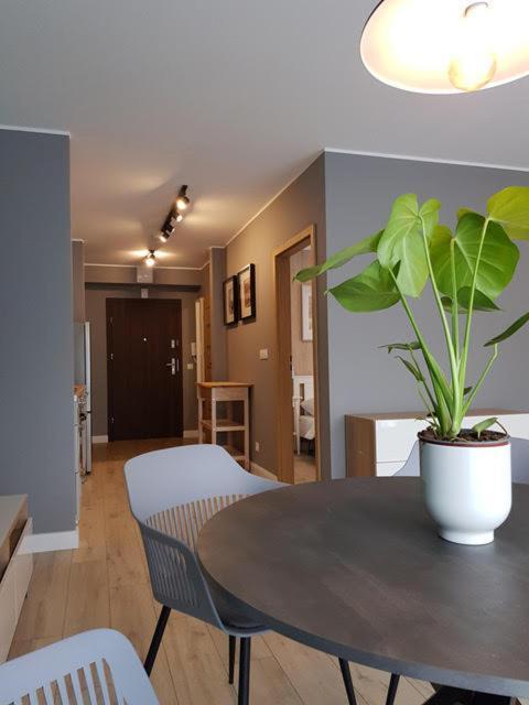 Apartament Triventi 88 Z Widokiem Na Sniezke - 5D Apartamenty Karpacz Εξωτερικό φωτογραφία
